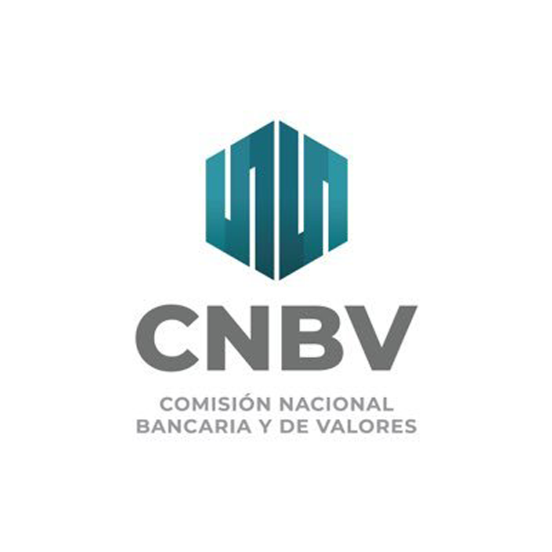 CNBV Logo